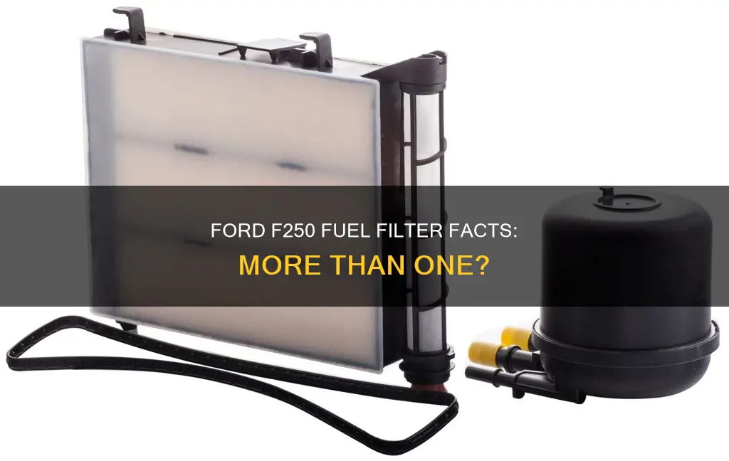 does my 2000 f250 have more than 1 fuel filter