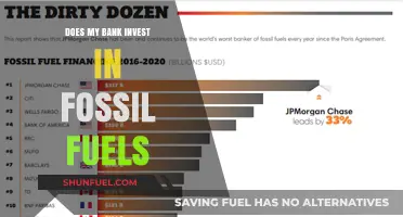 Fossil Fuel Funding: Your Bank's Dirty Investments