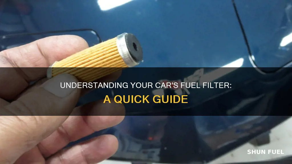 does my car have a fuel filter