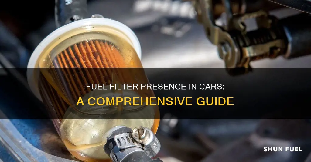 does my car have a fuel filter