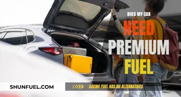 Premium Fuel: Is It Worth the Extra Cost for Your Car?