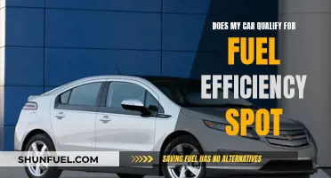 Fuel-Efficient Cars: Do You Qualify for Special Parking Spots?