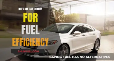Fuel Efficiency: Does Your Car Make the Cut?