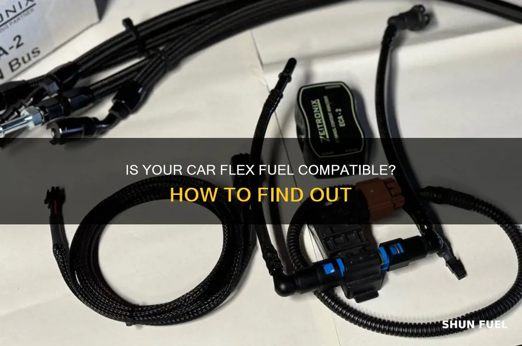does my car use flex fuel