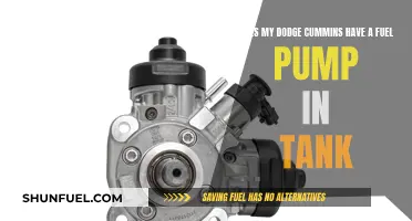 Dodge Cummins Fuel Pump: In-Tank or Not?