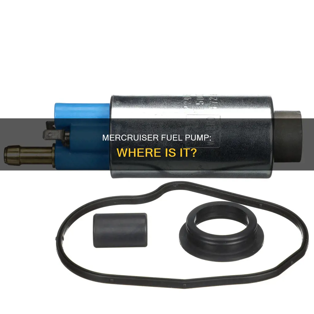 does my mercruiser have an in tank fuel pump