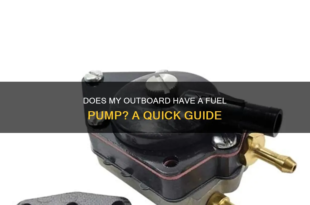 does my outboard have a fuel pump