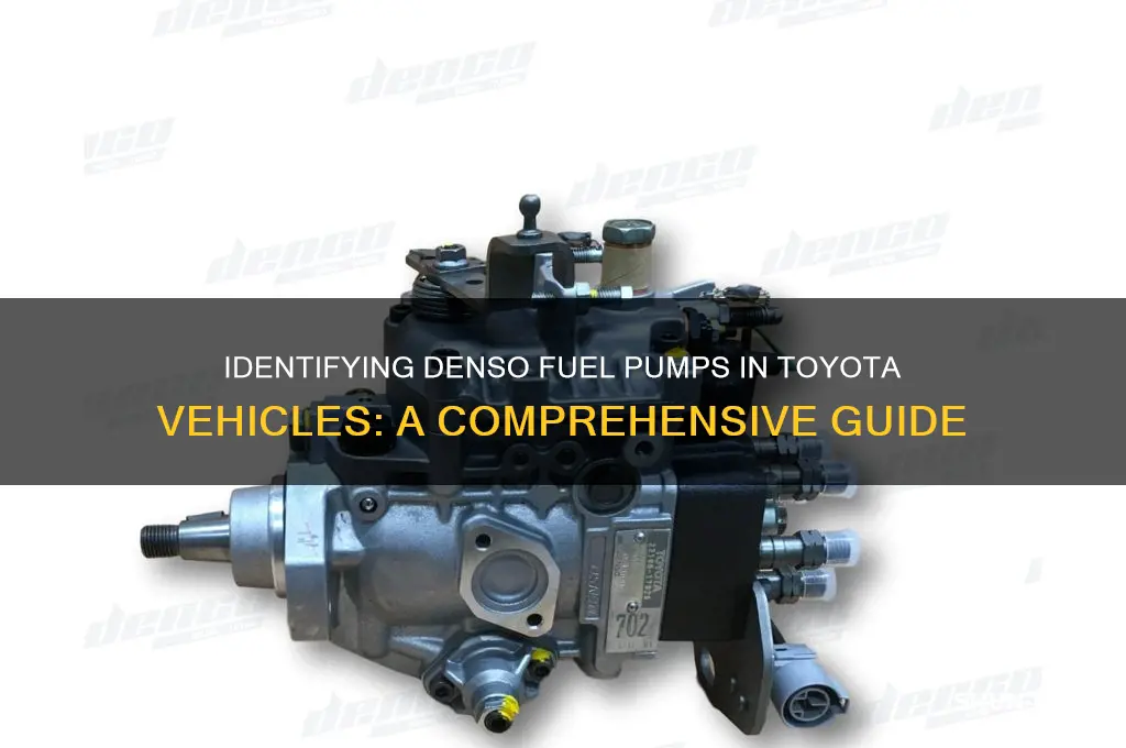 does my toyota have a denso fuel pump