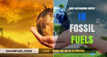 Nationwide's Fossil Fuel Investments: A Critical Analysis