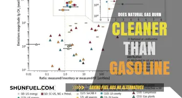 Cleaner Flames: Comparing Natural Gas and Gasoline Emissions