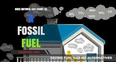 Natural Gas: Fossil Fuel or Not?