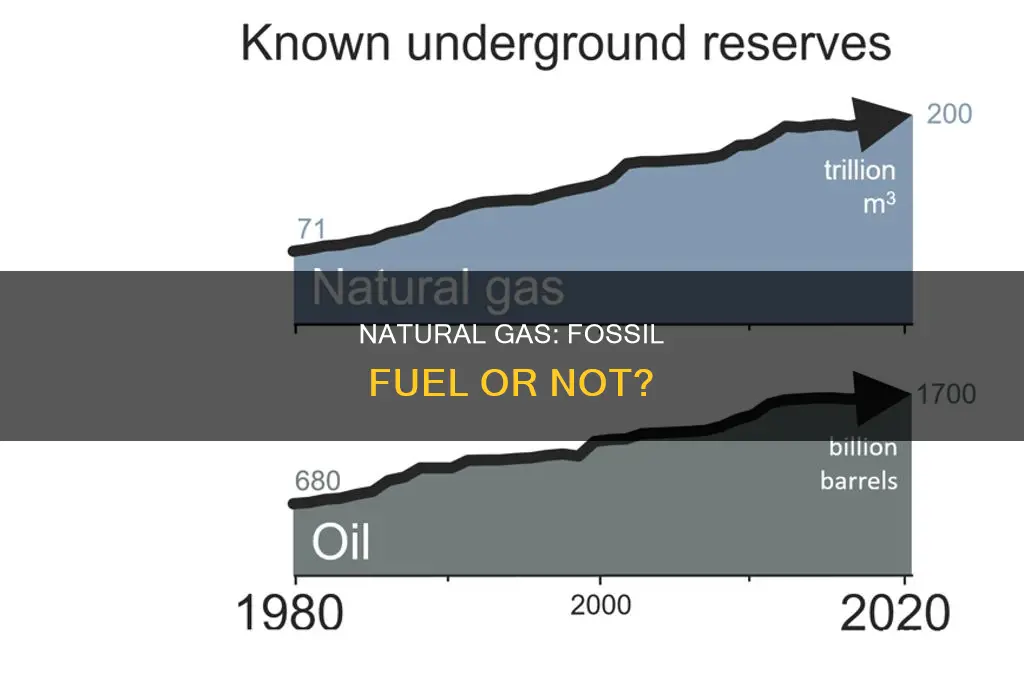 does natural gas count as a fossil fuel