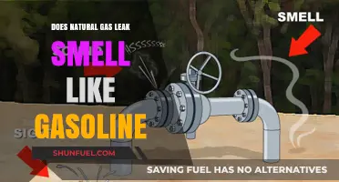 Exploring the Pungent Truth: Natural Gas Leaks vs. Gasoline Fumes