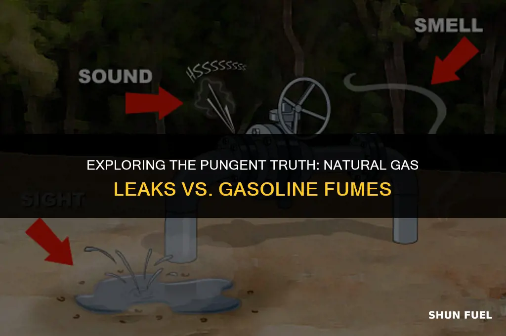 does natural gas leak smell like gasoline