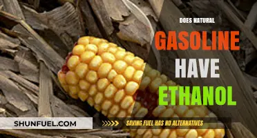 Exploring the Ethanol Content in Natural Gasoline: Facts and Myths