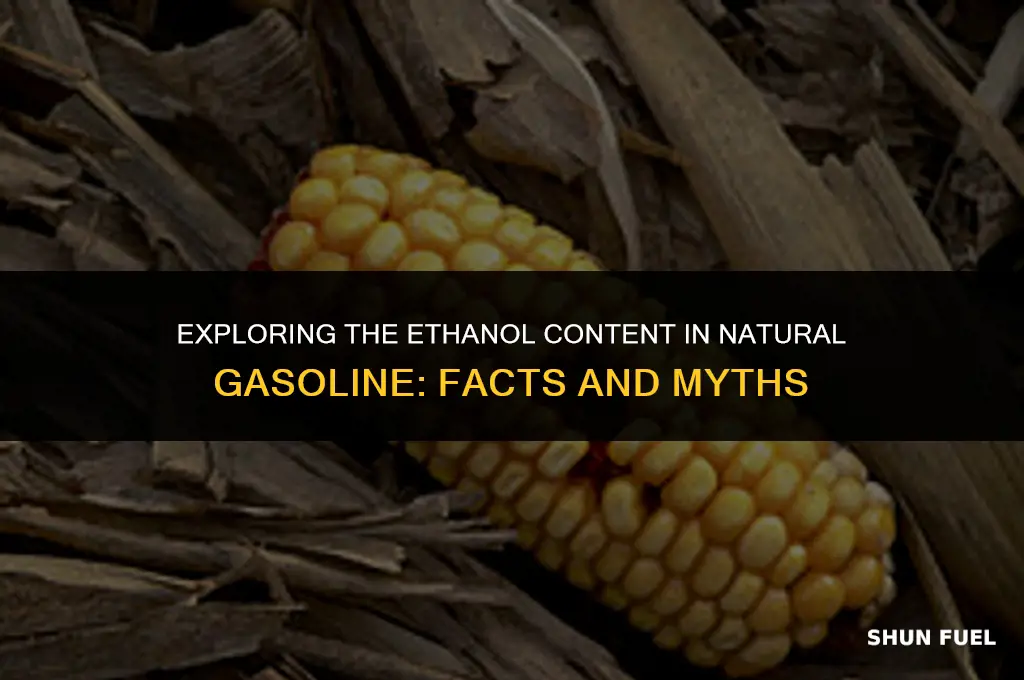 does natural gasoline have ethanol