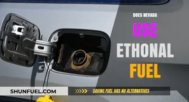 Nevada's Ethanol Fuel Usage: Facts, Benefits, and Environmental Impact