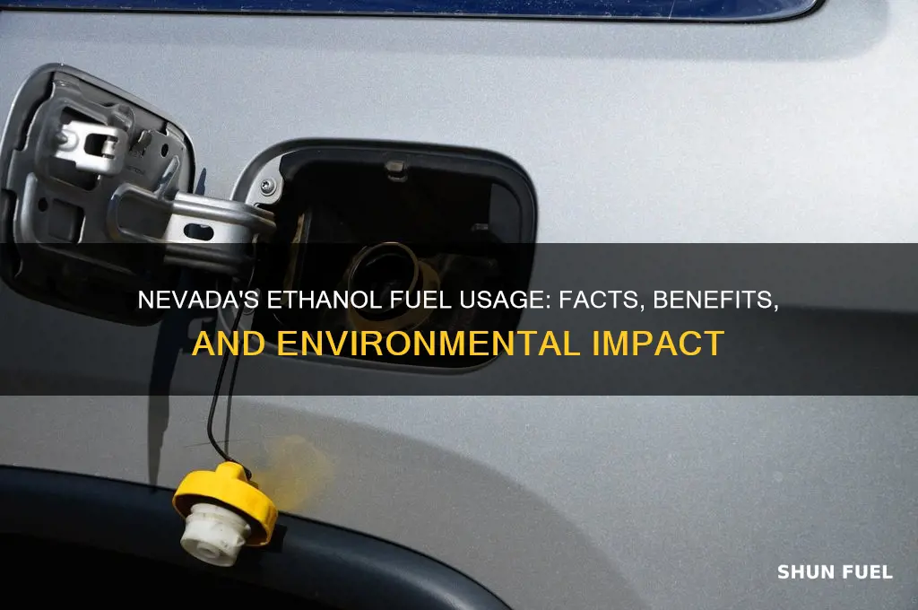 does nevada use ethonal fuel