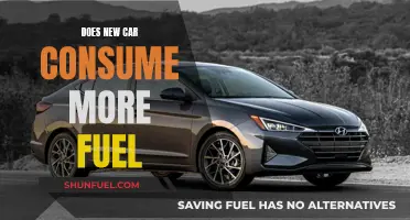 New Car Fuel Efficiency: Myth or Reality?