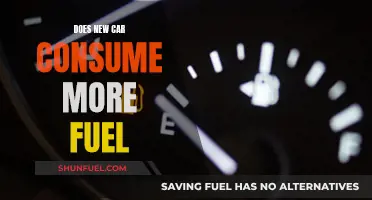 New Cars: Fuel Efficiency or Fuel Guzzlers?
