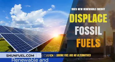 Renewable Energy: Replacing Fossil Fuels or Just a Fad?