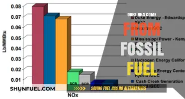 Fossil Fuel Combustion: A Source of NH4?