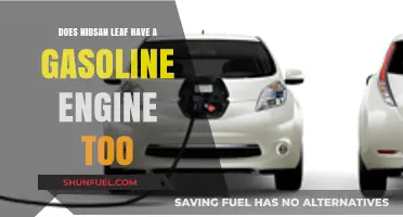 Exploring the Powertrain: Does Nissan Leaf Offer a Gasoline Engine Option?