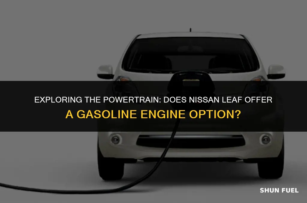 does nidsan leaf have a gasoline engine too
