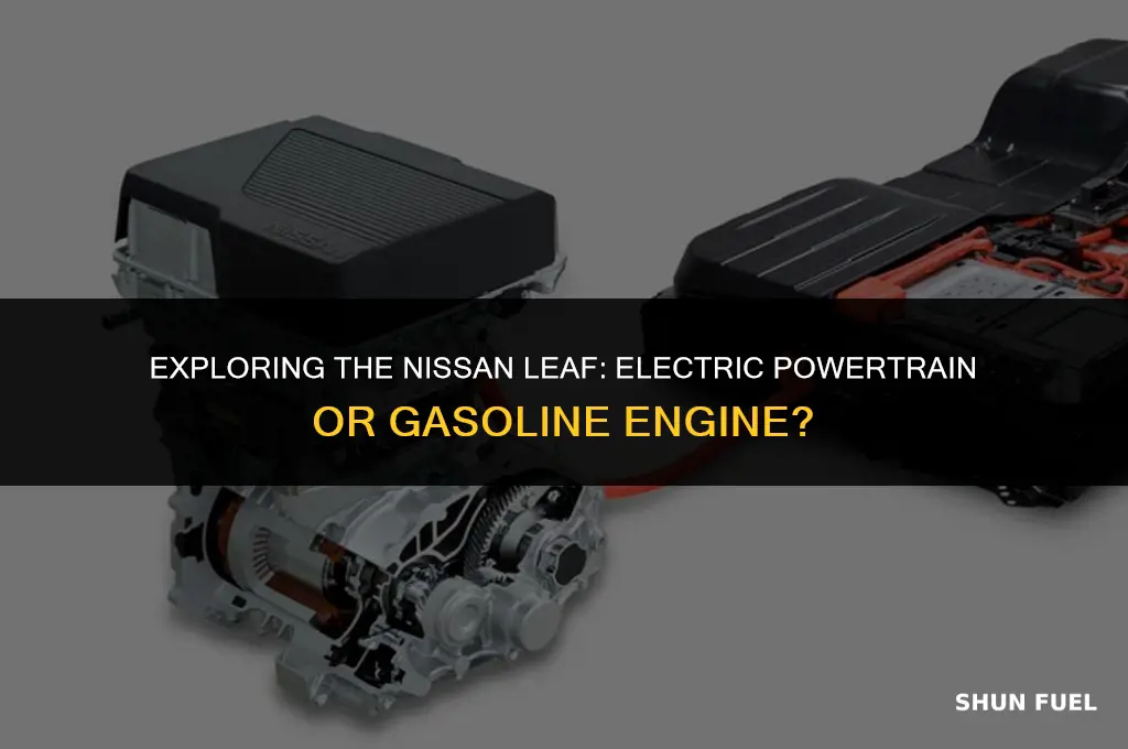 does nissan leaf have a gasoline engine in it