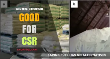 Exploring the Impact of Nitrate in Gasoline on Corporate Social Responsibility