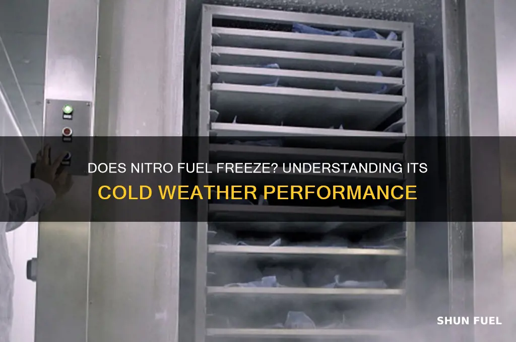 does nitro fuel freeze
