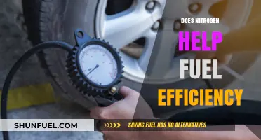 Nitrogen's Role in Enhancing Fuel Efficiency: Fact or Fiction?
