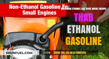 Exploring the Energy Efficiency of Non-Ethanol vs Ethanol Gasoline