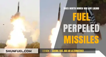 North Korea's Missile Technology: Liquid Fuel Usage Explained