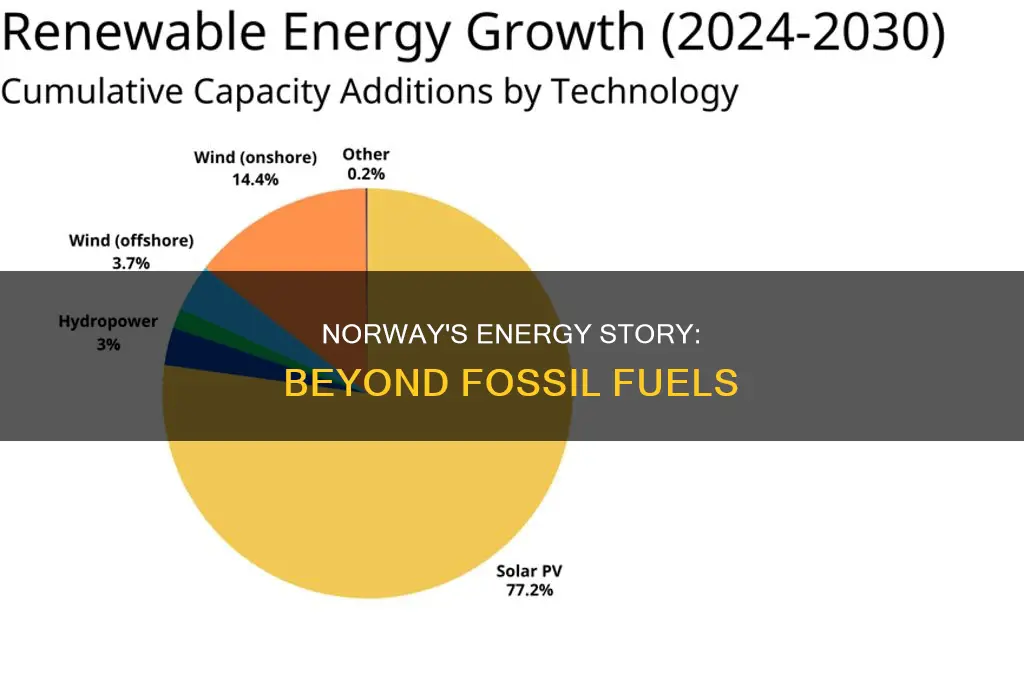 does norway use fossil fuel