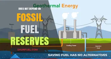 A Green Future: Freeing Ourselves from Fossil Fuel Reserves