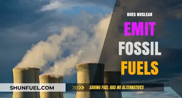 Nuclear Energy: Fossil Fuel-Free Power Generation