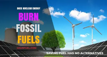 Nuclear Energy: Burning Fossil Fuels or Not?