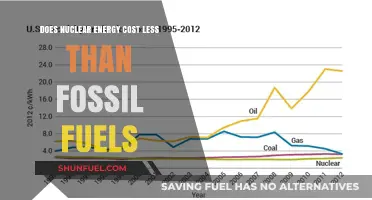 Nuclear Energy: Cheaper Than Fossil Fuels?