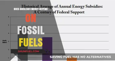 Fossil Fuels and Nuclear Energy: Interdependent or Independent?