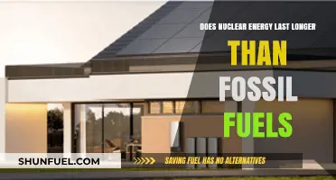 Nuclear Energy: A Longer Lasting Alternative to Fossil Fuels?