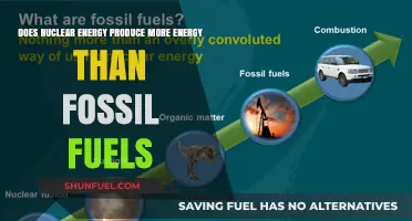 Nuclear Energy: More Power, Less Fuss?