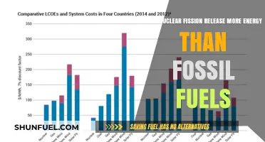 Fission Energy: More Bang for Your Buck?