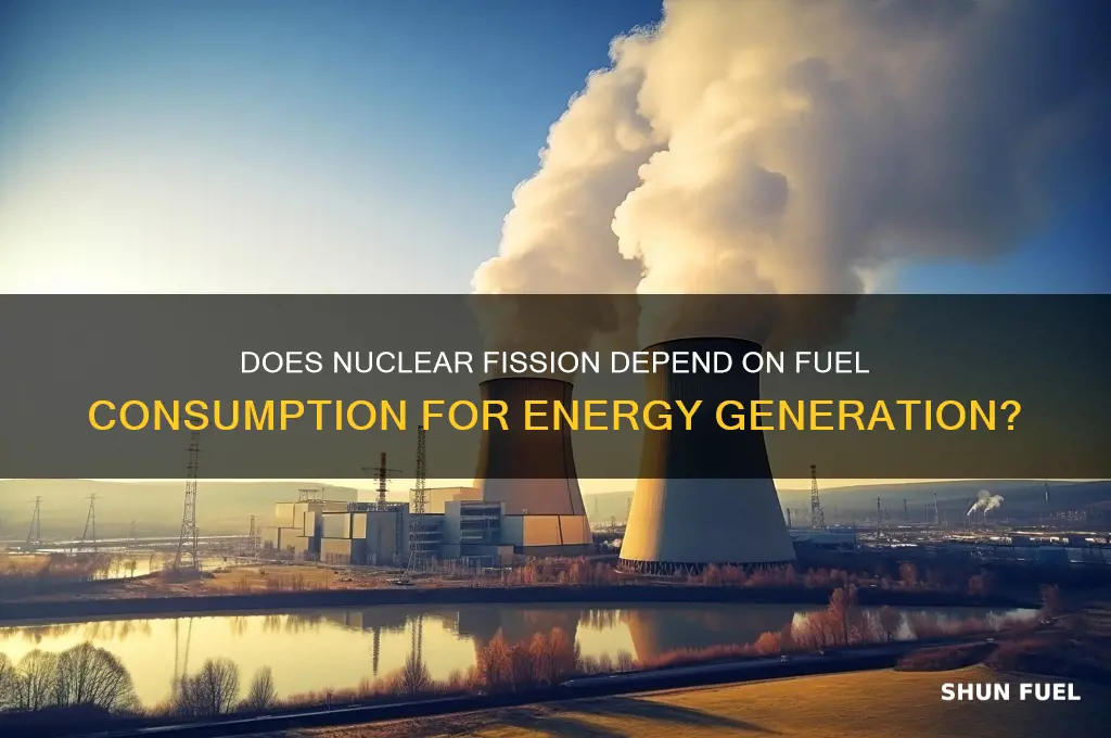 does nuclear fission rely on fuel being used