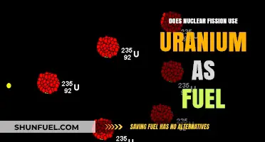 Does Nuclear Fission Rely on Uranium as Its Primary Fuel?
