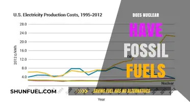 Nuclear Energy: A Fossil Fuel-Free Future?