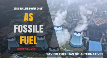 Nuclear Power: Fossil Fuel or Not?