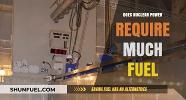 Nuclear Power: Fuel Efficiency and Abundance
