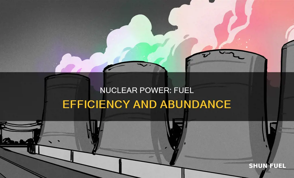 does nuclear power require much fuel