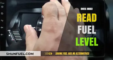 Can OBD2 Scanner Accurately Read Your Vehicle's Fuel Level?